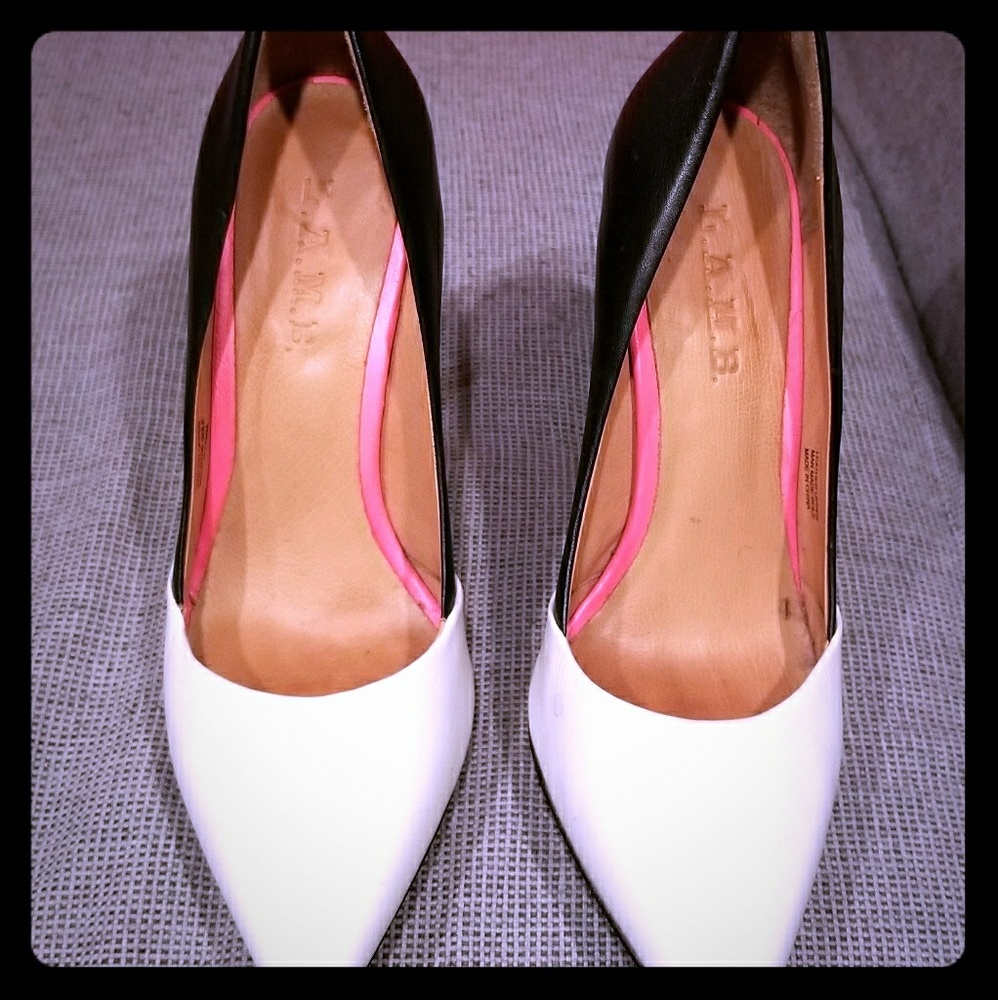 Two toned black and white LAMB pump